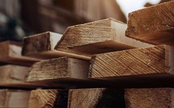 importación y exportación de madera AGM menfis